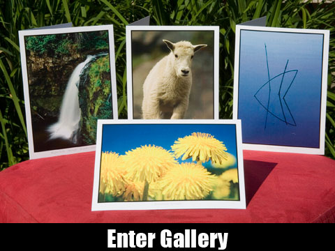 Greeting Cards Gallery